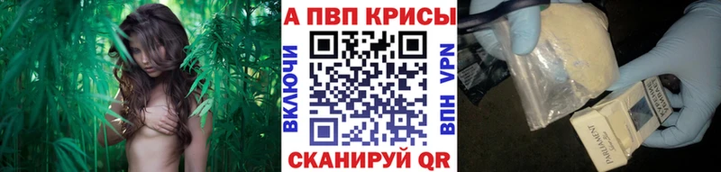 mega ТОР  Дальнегорск  APVP СК  цены  