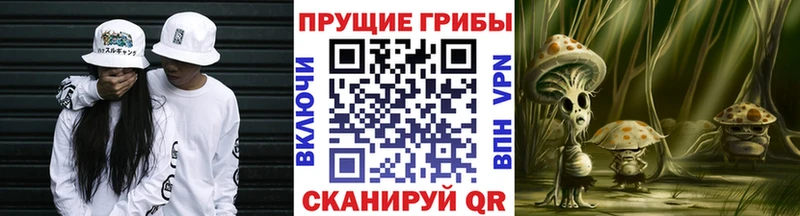 где можно купить наркотик  blacksprut сайт  Галлюциногенные грибы мухоморы  Дальнегорск 